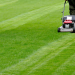 Branch Creek Lawn Food helps make green lawns like the one in picture which is being mowed by a push mower. Only mower and lower half of person is visible in the picture.